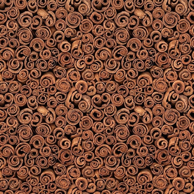 Seamless tileable texture of cinnamon bark lightly weathered and aged