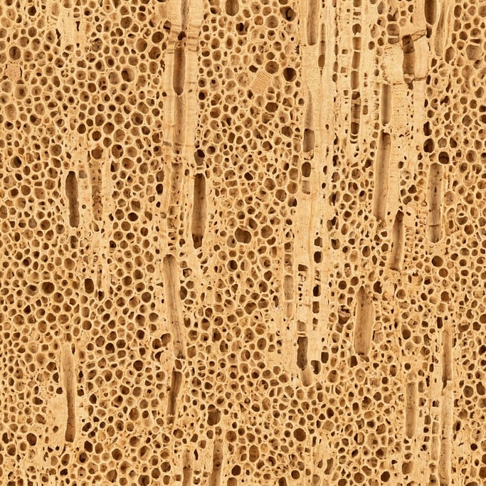 Seamless tileable texture of cork freshly cut and raw
