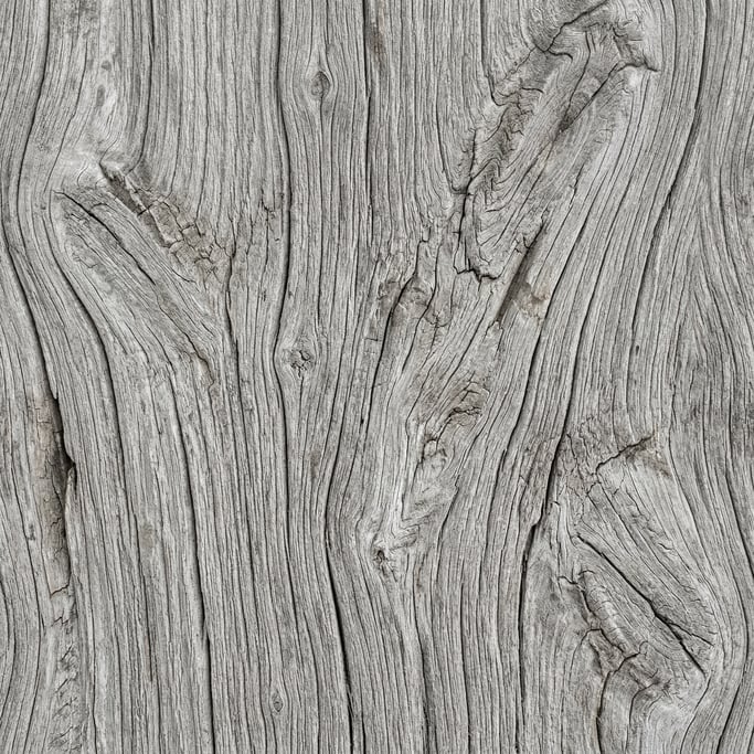 Seamless tileable texture of driftwood freshly cut and raw