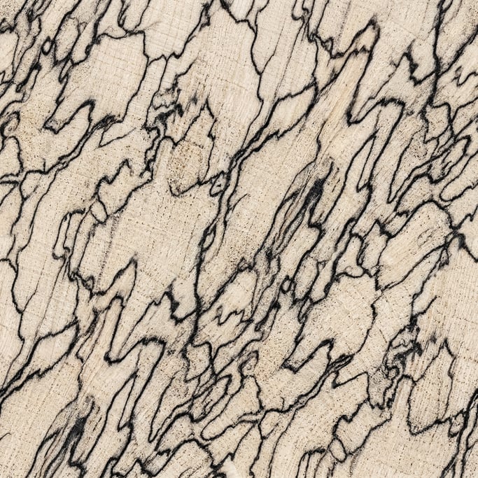 Seamless tileable texture of spalted maple at higher magnification