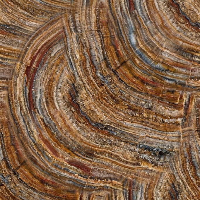 Seamless tileable texture of petrified wood at higher magnification
