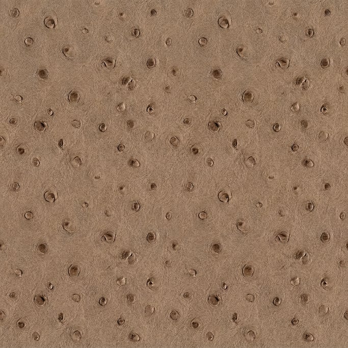 Seamless tileable texture of ostrich leather freshly cut and raw