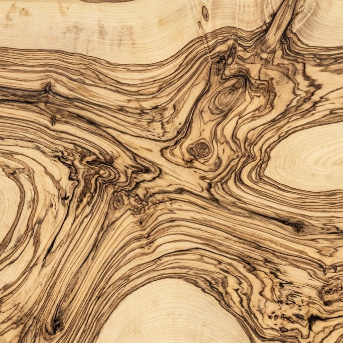 Seamless tileable texture of olive wood freshly cut and raw