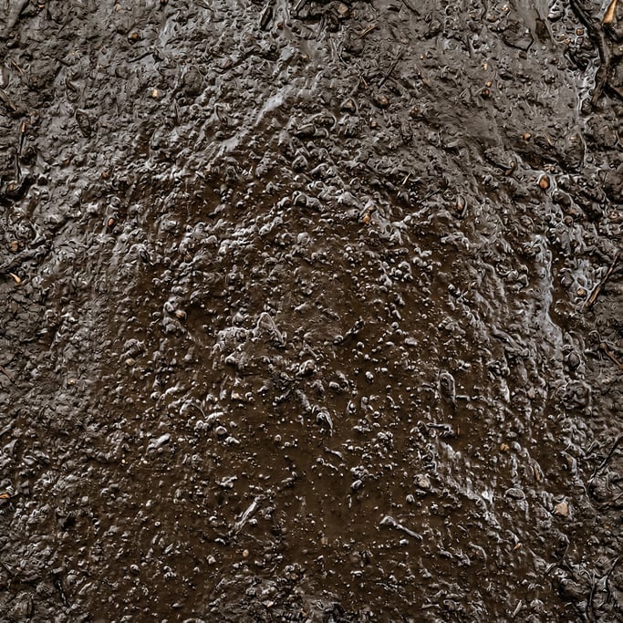 Seamless tileable texture of wet river mud wet with water