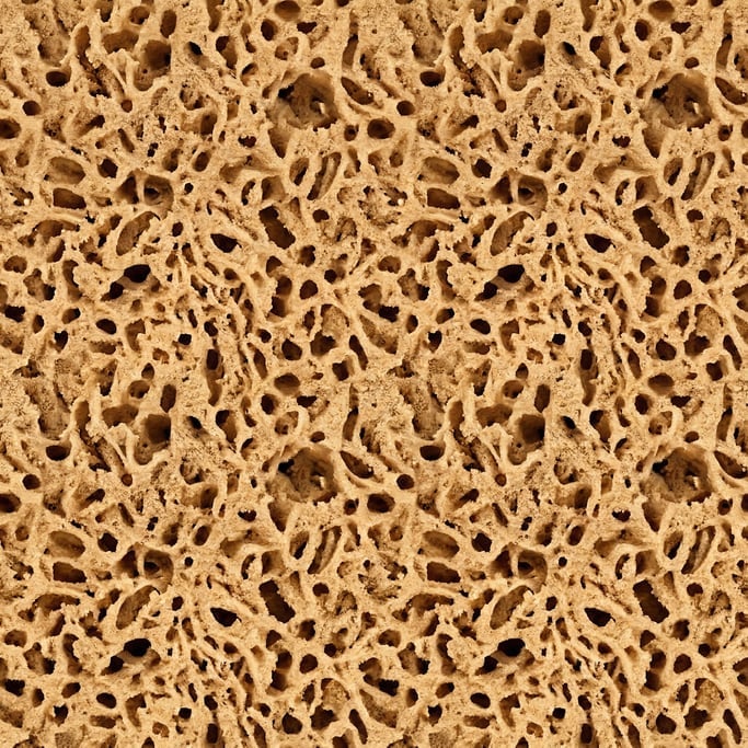 Seamless tileable texture of sea sponge at higher magnification