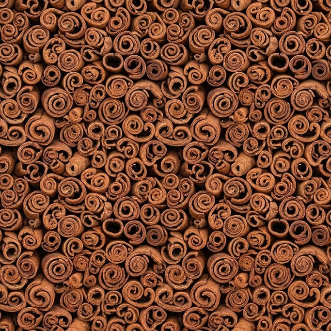 Seamless tileable texture of cinnamon bark lightly weathered and aged