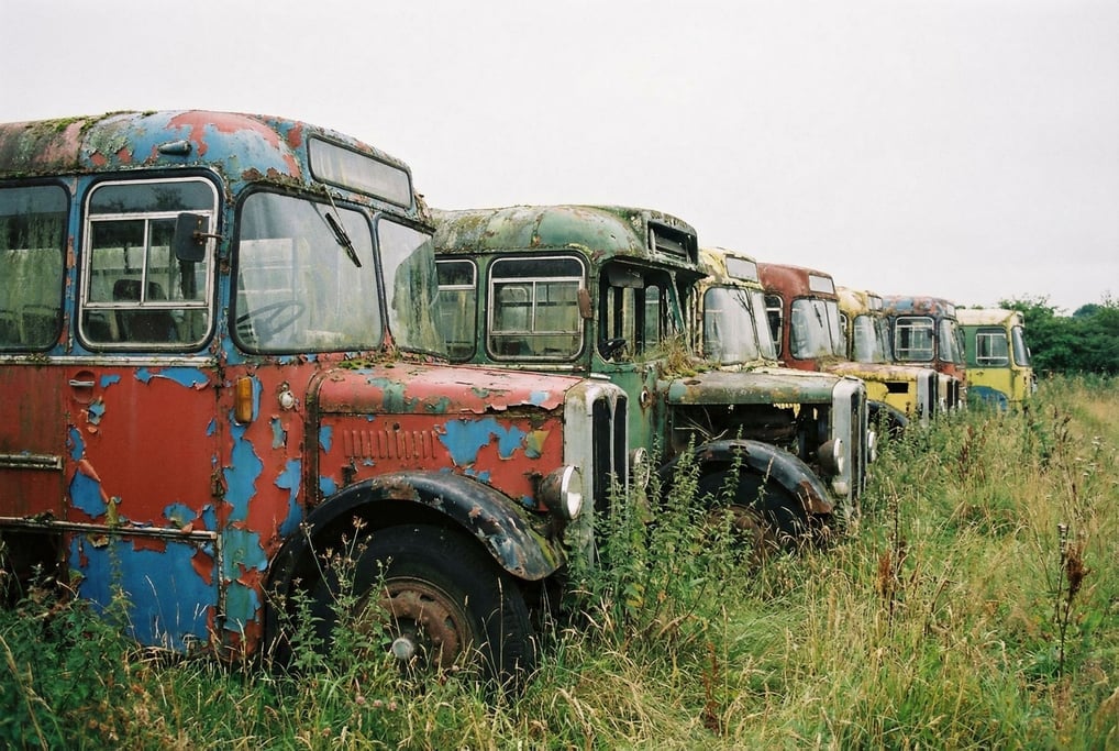 Row of abandoned buses in a field, paint peeling to reveal layers of previous colors
