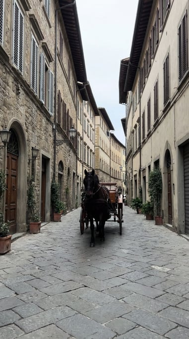 Horse and carriage on a narrow cobblestone lane between tall town houses