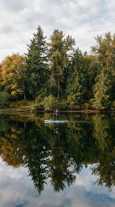 Person on a stand-up paddleboard on a calm river, shot from shore looking across