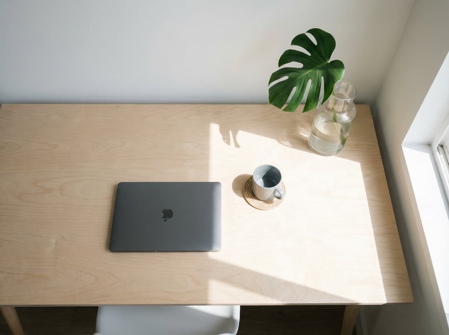 Overhead bird's-eye view looking directly down at a clean long pale birch plywood desk surface